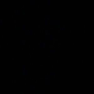 Meet your Posher, Eileen